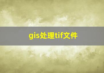 gis处理tif文件