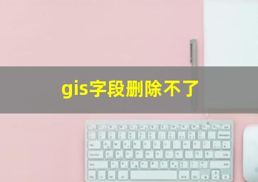 gis字段删除不了