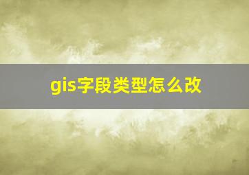 gis字段类型怎么改