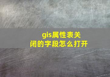 gis属性表关闭的字段怎么打开