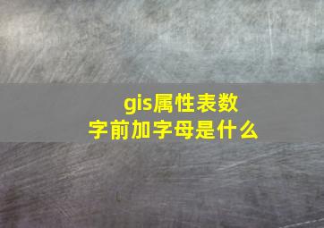 gis属性表数字前加字母是什么