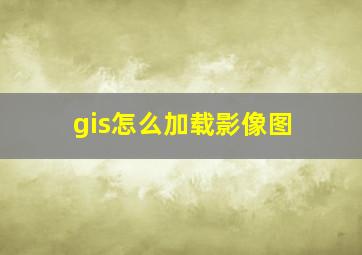 gis怎么加载影像图