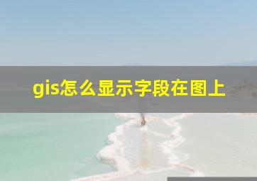 gis怎么显示字段在图上