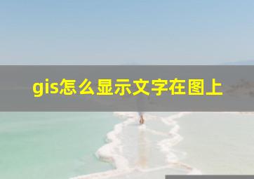 gis怎么显示文字在图上