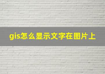 gis怎么显示文字在图片上