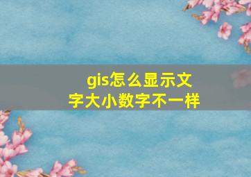 gis怎么显示文字大小数字不一样