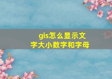 gis怎么显示文字大小数字和字母