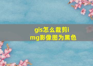 gis怎么裁剪img影像图为黑色