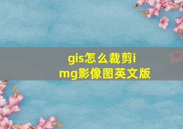 gis怎么裁剪img影像图英文版