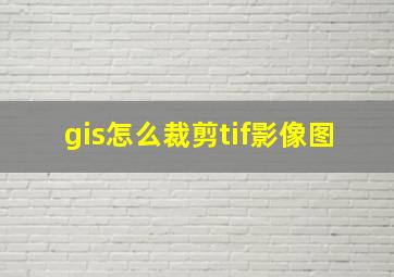 gis怎么裁剪tif影像图