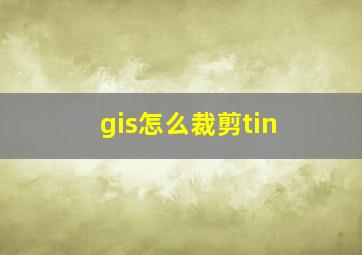 gis怎么裁剪tin