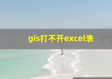 gis打不开excel表