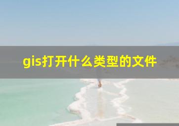 gis打开什么类型的文件