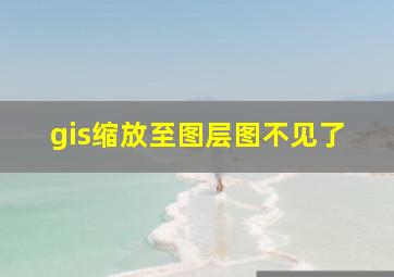 gis缩放至图层图不见了