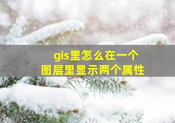 gis里怎么在一个图层里显示两个属性