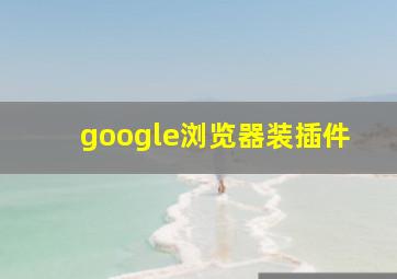 google浏览器装插件