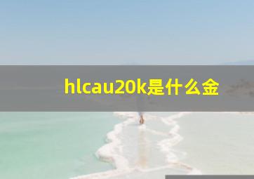 hlcau20k是什么金