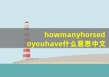 howmanyhorsedoyouhave什么意思中文