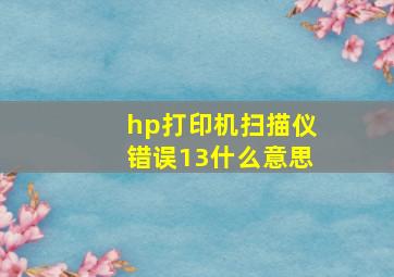 hp打印机扫描仪错误13什么意思