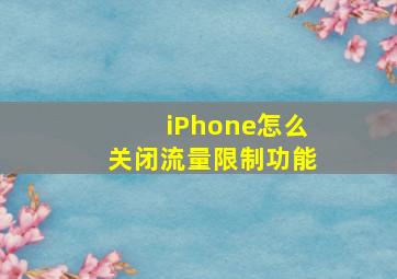 iPhone怎么关闭流量限制功能