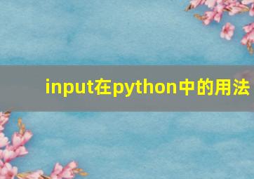 input在python中的用法