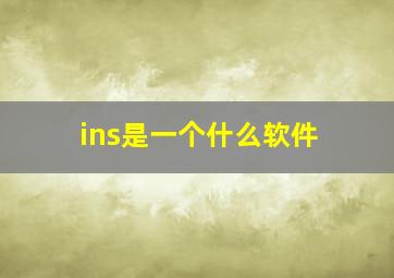 ins是一个什么软件