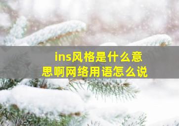 ins风格是什么意思啊网络用语怎么说