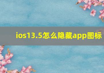 ios13.5怎么隐藏app图标