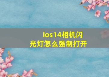 ios14相机闪光灯怎么强制打开