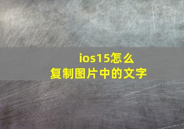 ios15怎么复制图片中的文字