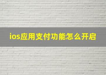 ios应用支付功能怎么开启