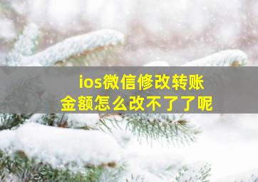 ios微信修改转账金额怎么改不了了呢