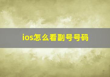 ios怎么看副号号码