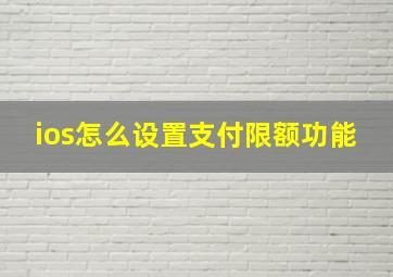 ios怎么设置支付限额功能