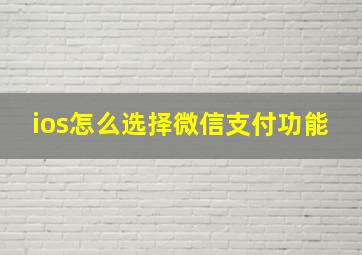 ios怎么选择微信支付功能