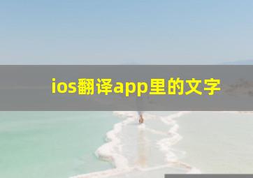 ios翻译app里的文字