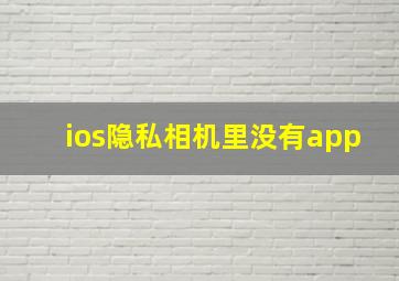 ios隐私相机里没有app