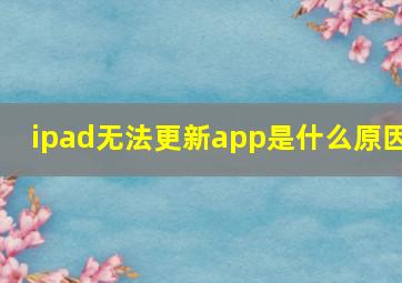 ipad无法更新app是什么原因