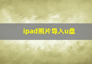 ipad照片导入u盘