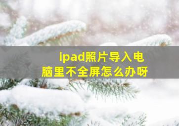 ipad照片导入电脑里不全屏怎么办呀