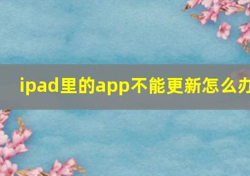 ipad里的app不能更新怎么办