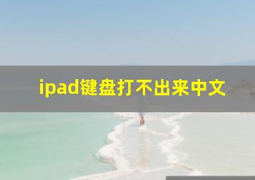 ipad键盘打不出来中文