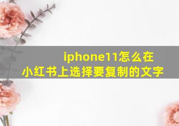 iphone11怎么在小红书上选择要复制的文字