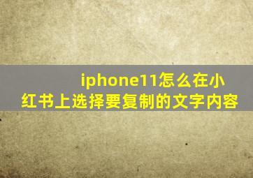 iphone11怎么在小红书上选择要复制的文字内容