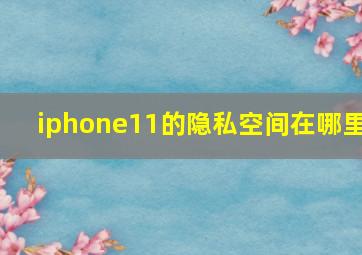 iphone11的隐私空间在哪里