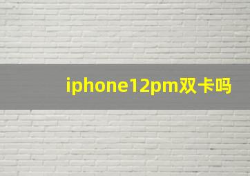 iphone12pm双卡吗