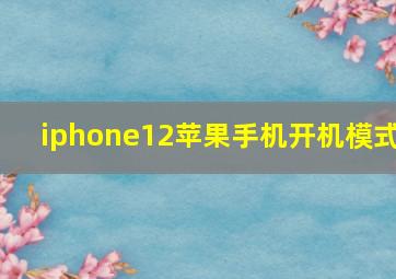 iphone12苹果手机开机模式