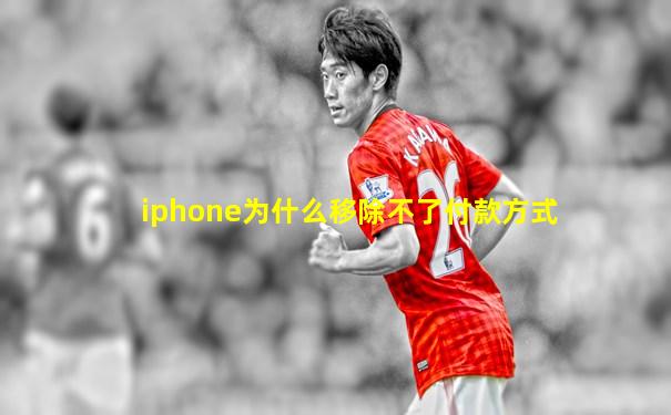 iphone为什么移除不了付款方式