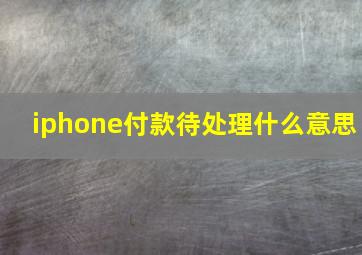 iphone付款待处理什么意思