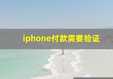 iphone付款需要验证